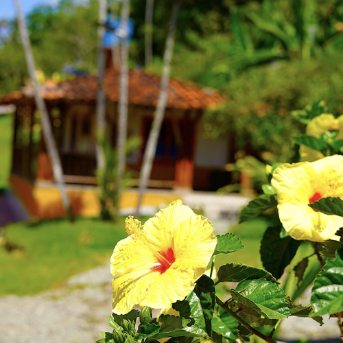 Captura de pantalla 2025-11-03 a las 3.36.55 p. m.